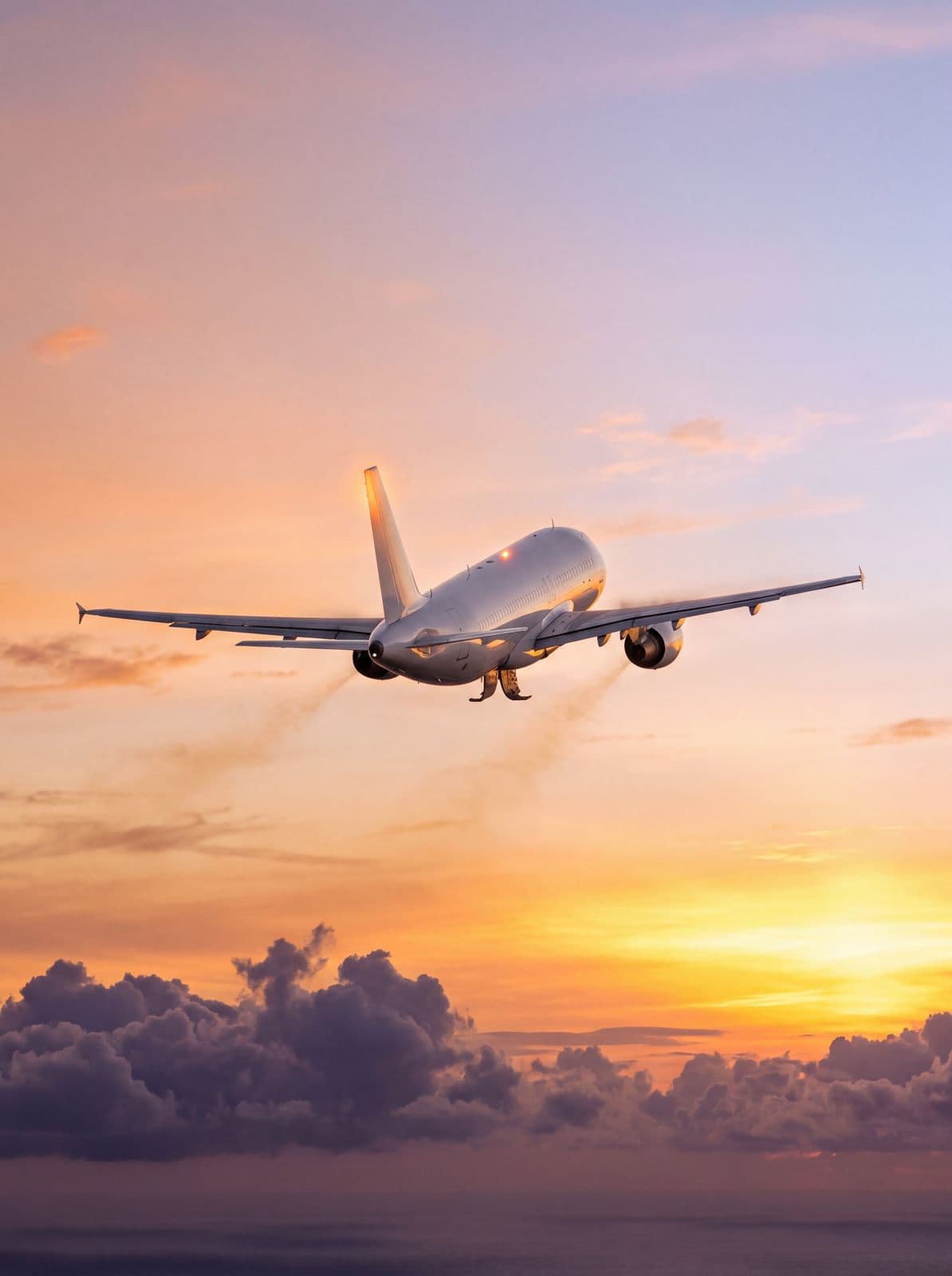 Cargo aircraft